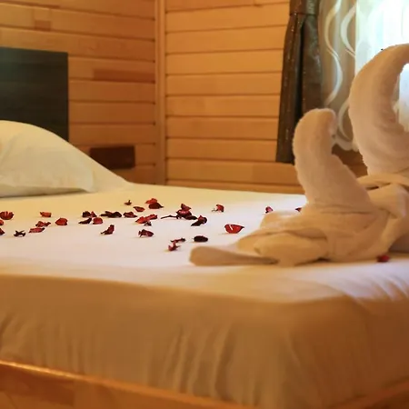 Bed & Breakfast Tunays Pansiyon *