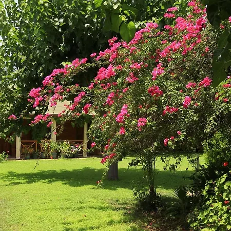 Tunays Pansiyon Bed & Breakfast Cirali